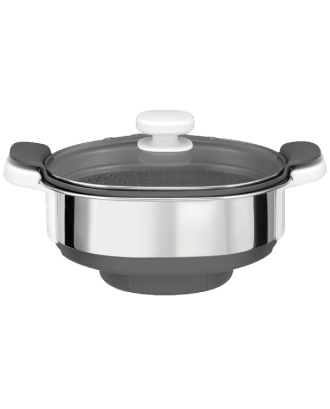PANELA A VAPOR P/CICI MOULINEX - XF384B10