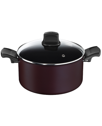 TACHO TEFAL TITANIUM SIGNATURE IND. 24CM + TAMPA VIDRO - C6874602