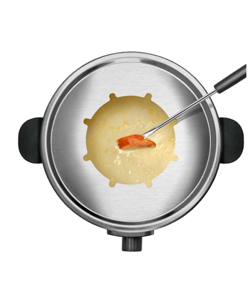 FONDUE TAURUS FF2 - 968.936 FONDUE TAURUS FF2 - 968.936