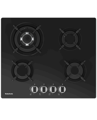 PLACA TAURUS - GC4HN